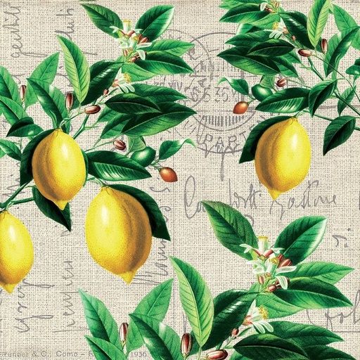 [1333620] Paperiservietti CAPRI 33x33
