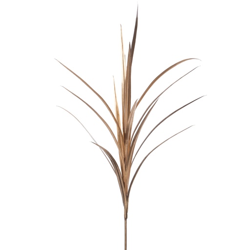 [166164] Koristeoksa, kultainen 122cm