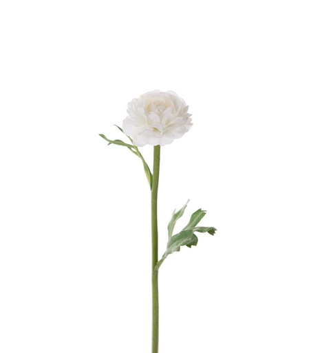 [4765-10] Ranuncel 35cm valkoinen
