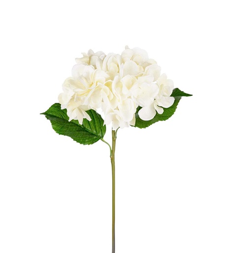 [3343-11] Hortensia 55cm valkoinen