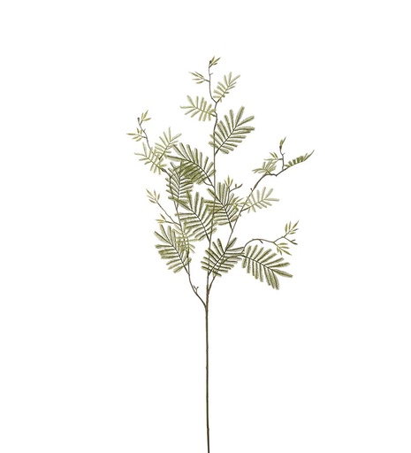 [4158-90] Mimosan oksa 110cm