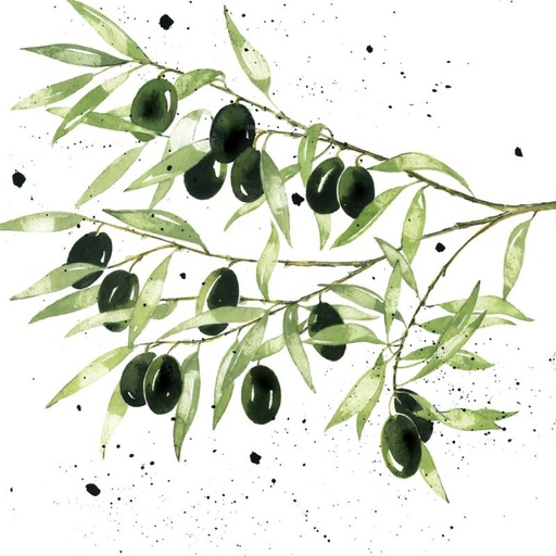 [1334394] Servetti OLIVES 33x33cm