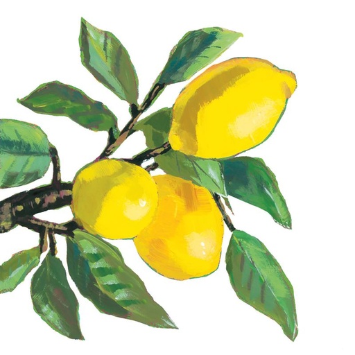 [1253779] Paperiservetti LEMON MUSÉE valkoinen 25x25cm