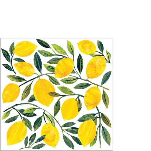 [125002563] Servietti TRACEY'S CITRONELLA 25x25 cm