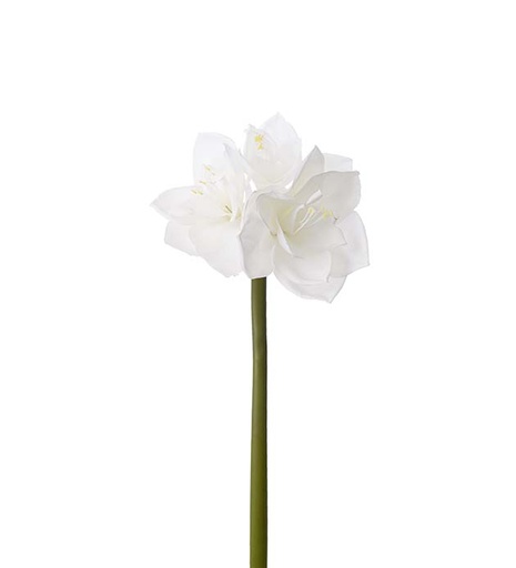 [4606-10] Valkoinen Amaryllis 60 cm