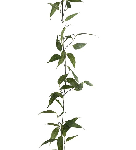 [3994-91] Eucalyptus köynnös 190cm