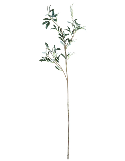 [900001447] Oliivinoksa vihreä