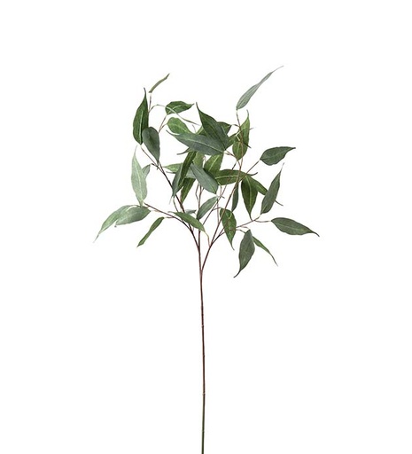 [4650-90] Eukalyptusoksa 110 cm