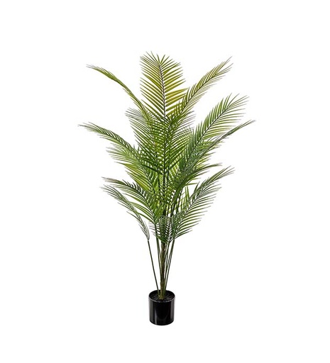 [3113-140] Vuoripalmu 140 cm