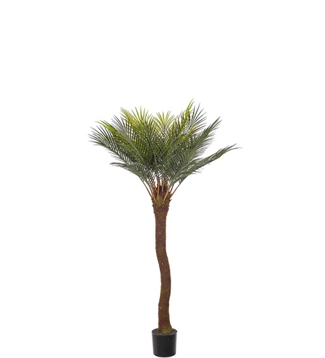 [7031-090] Palmu 90cm