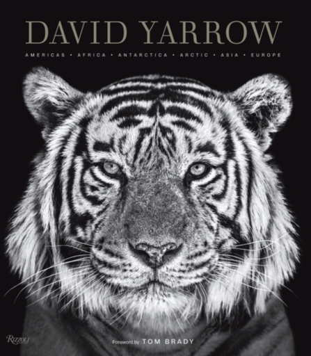 [RI1084] Kirja DAVID YARROW PHOTOGRAPHY