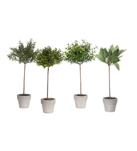 [9658-99-1] Maustekasvit