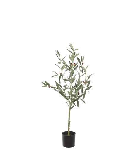 [7024-090] Oliivipuu 90cm
