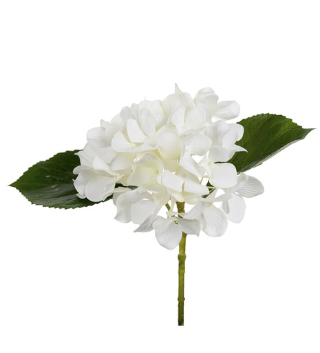 [6186-10] Hortensia 25 cm valkoinen