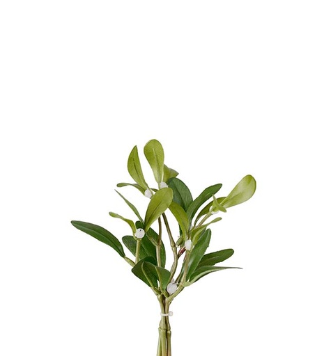 [4526-90] Mistelin oksa 18 cm